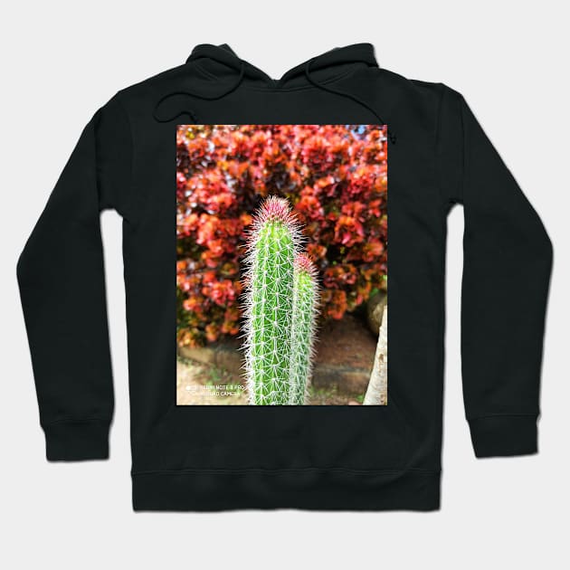 Cactus Hoodie by stupidpotato1